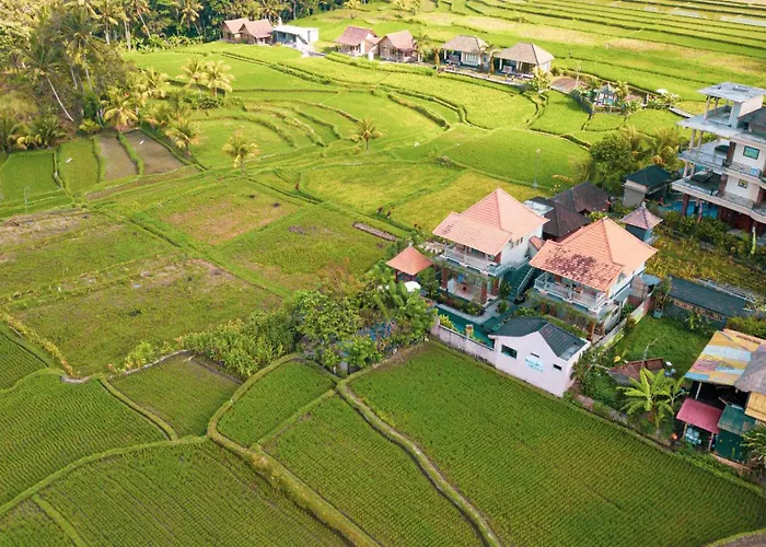 Raditya Ubud